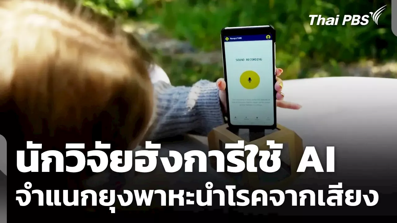 วันใหม่ไทยพีบีเอส